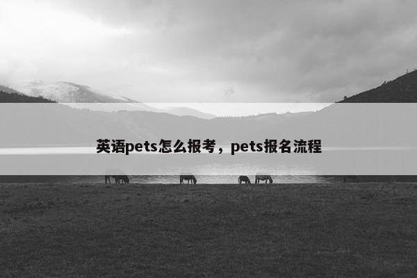 英语pets怎么报考，pets报名流程