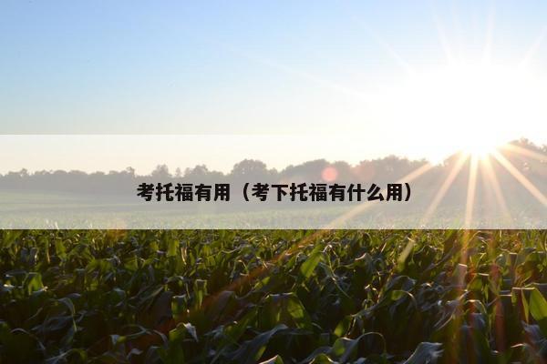 考托福有用（考下托福有什么用）