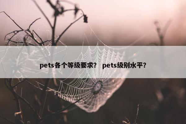 pets各个等级要求？ pets级别水平？