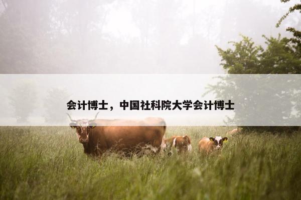 会计博士，中国社科院大学会计博士