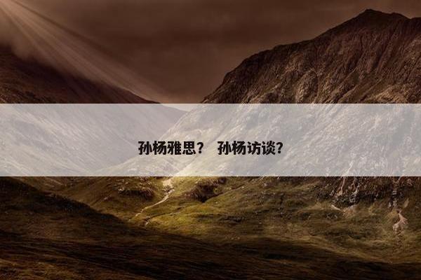 孙杨雅思？ 孙杨访谈？