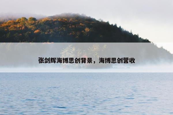 张剑辉海博思创背景，海博思创营收