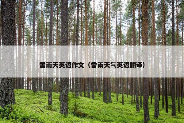 雷雨天英语作文（雷雨天气英语翻译）