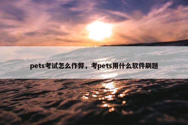 pets考试怎么作弊，考pets用什么软件刷题