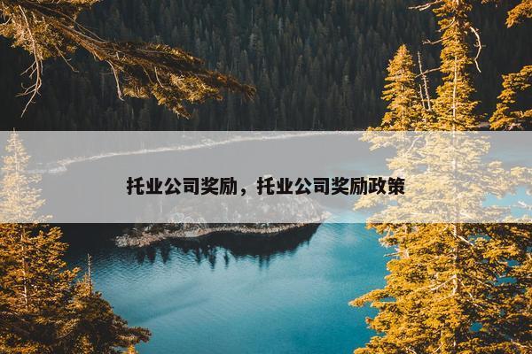 托业公司奖励，托业公司奖励政策
