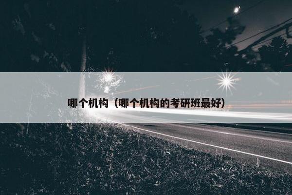 哪个机构（哪个机构的考研班最好）
