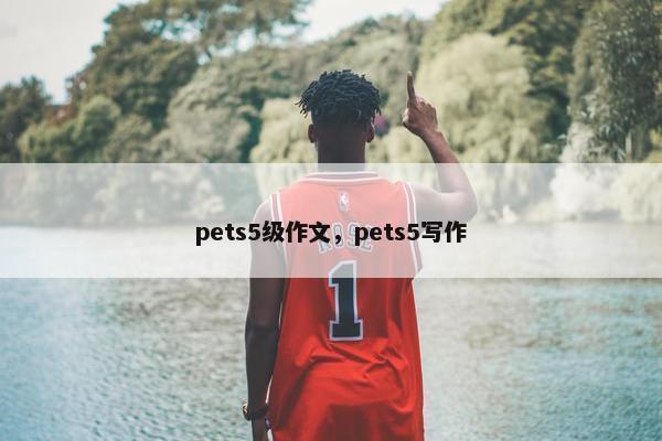 pets5级作文，pets5写作