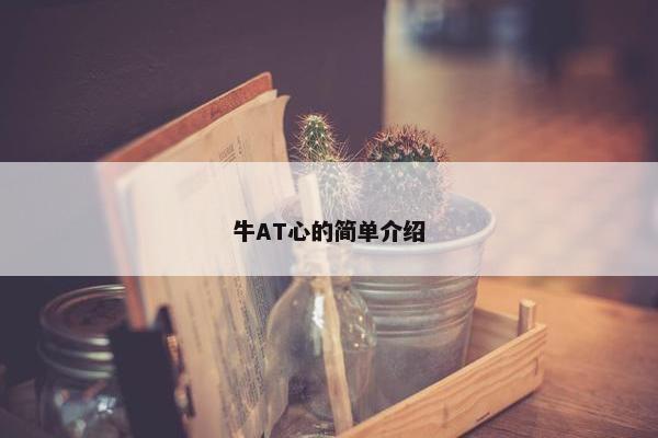 牛AT心的简单介绍
