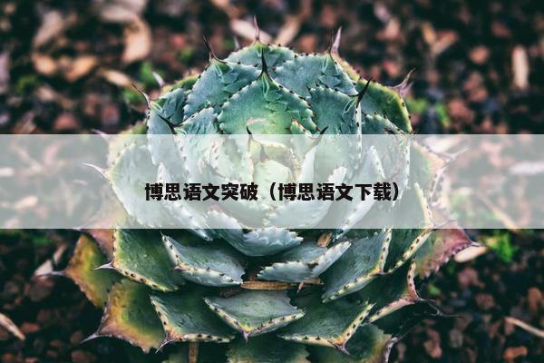 博思语文突破（博思语文下载）