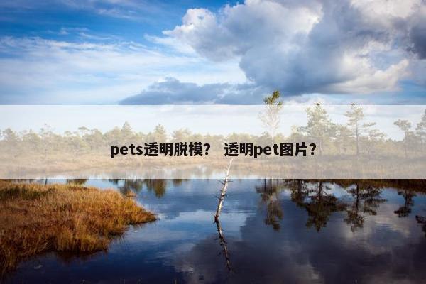 pets透明脱模？ 透明pet图片？