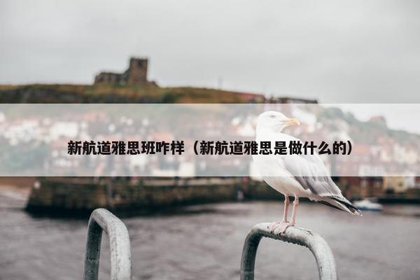 新航道雅思班咋样（新航道雅思是做什么的）