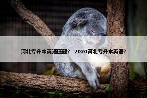 河北专升本英语压题？ 2020河北专升本英语？