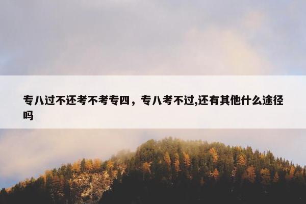 专八过不还考不考专四，专八考不过,还有其他什么途径吗