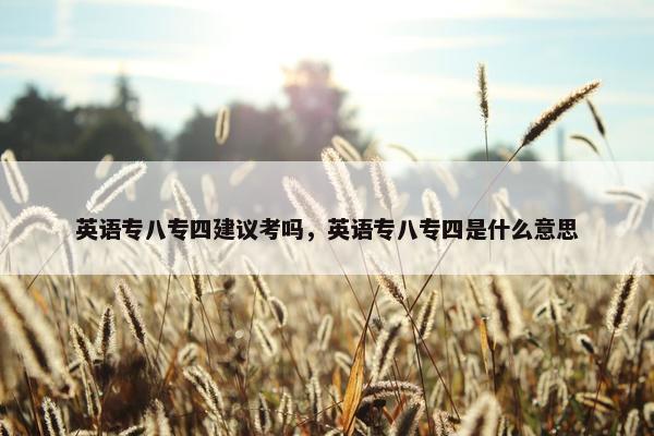 英语专八专四建议考吗，英语专八专四是什么意思