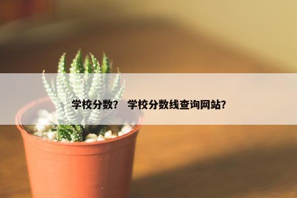 学校分数？ 学校分数线查询网站？