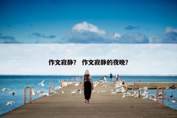 作文寂静？ 作文寂静的夜晚？