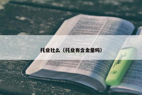 托业社么（托业有含金量吗）