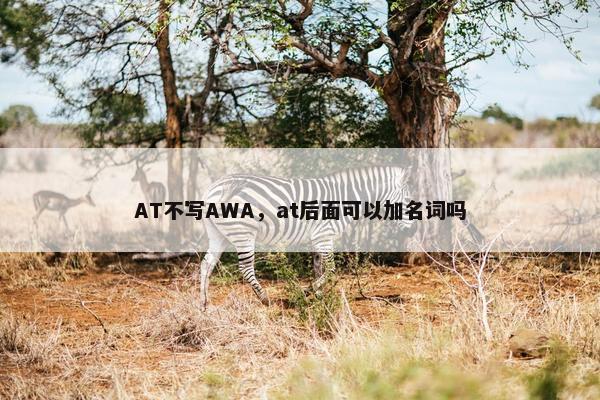 AT不写AWA，at后面可以加名词吗