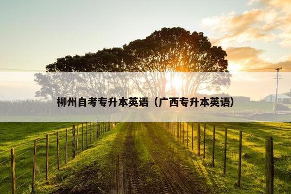 柳州自考专升本英语（广西专升本英语）