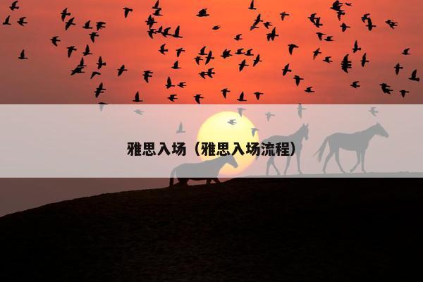 雅思入场（雅思入场流程）