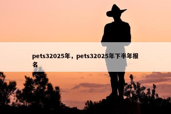 pets32025年，pets32025年下半年报名