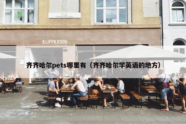 齐齐哈尔pets哪里有（齐齐哈尔学英语的地方）