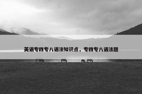 英语专四专八语法知识点，专四专八语法题