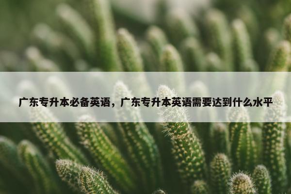 广东专升本必备英语，广东专升本英语需要达到什么水平
