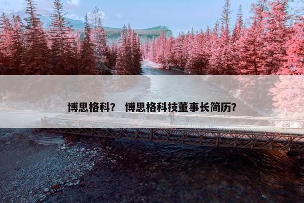 博思格科？ 博思格科技董事长简历？