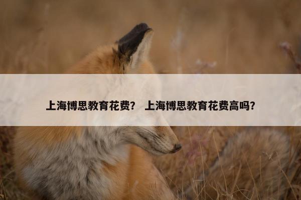 上海博思教育花费？ 上海博思教育花费高吗？