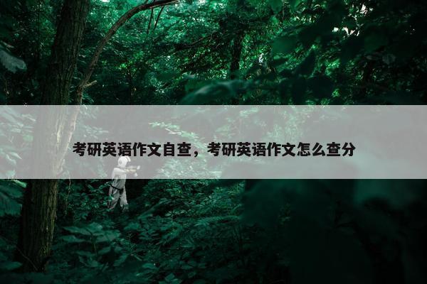 考研英语作文自查，考研英语作文怎么查分