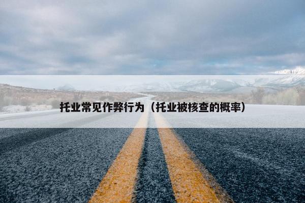 托业常见作弊行为（托业被核查的概率）