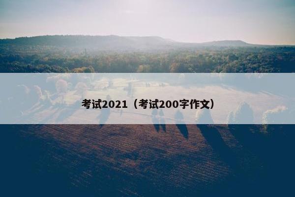 考试2021（考试200字作文）