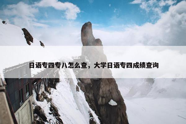 日语专四专八怎么查，大学日语专四成绩查询