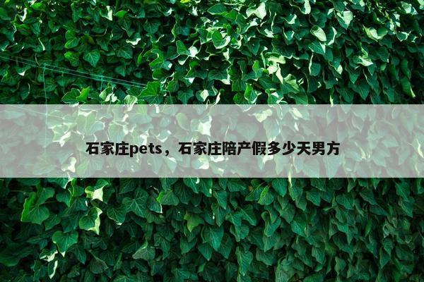 石家庄pets，石家庄陪产假多少天男方