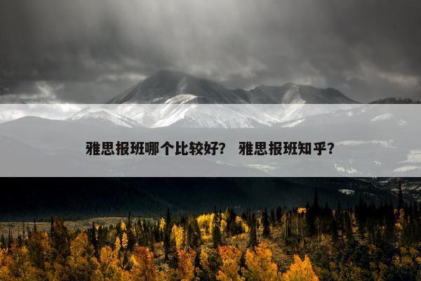 雅思报班哪个比较好？ 雅思报班知乎？