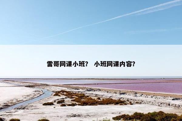 雷哥网课小班？ 小班网课内容？