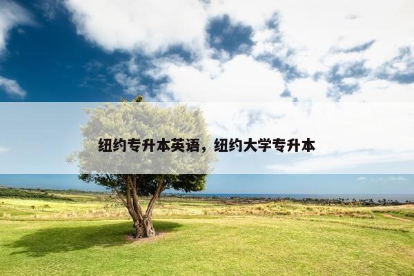 纽约专升本英语，纽约大学专升本