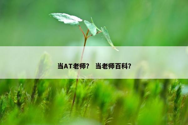 当AT老师？ 当老师百科？