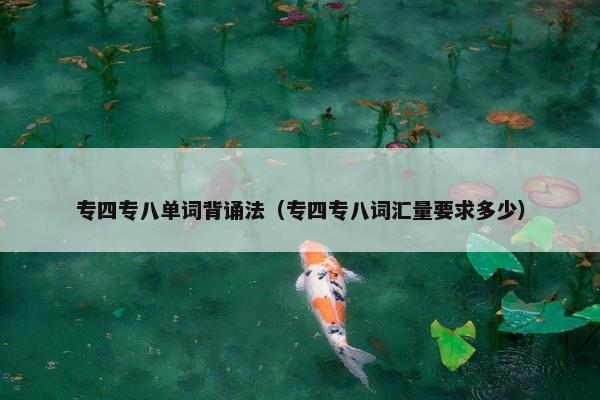 专四专八单词背诵法（专四专八词汇量要求多少）
