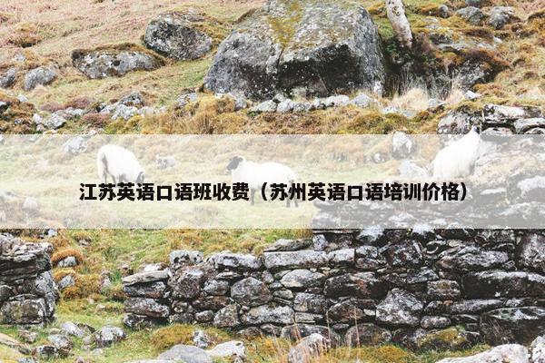 江苏英语口语班收费（苏州英语口语培训价格）