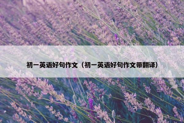 初一英语好句作文（初一英语好句作文带翻译）